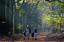 BUITEN BEELD Foto: 300110