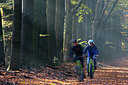 BUITEN BEELD Foto: 300111