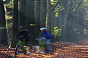 BUITEN BEELD Foto: 300112