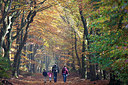 BUITEN BEELD Foto: 300115