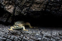 BUITEN BEELD Foto: 300152