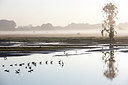 BUITEN BEELD Foto: 300302