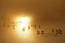 BUITEN BEELD Foto: 300303