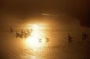 BUITEN BEELD Foto: 300305