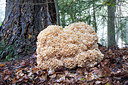 BUITEN BEELD Foto: 300430