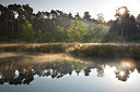 BUITEN BEELD Foto: 300457
