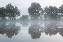 BUITEN BEELD Foto: 300459