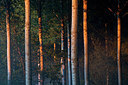 BUITEN BEELD Foto: 300486