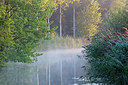BUITEN BEELD Foto: 300487