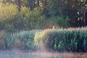 BUITEN BEELD Foto: 300505