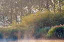 BUITEN BEELD Foto: 300507
