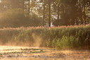 BUITEN BEELD Foto: 300509