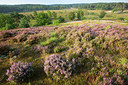 BUITEN BEELD Foto: 300536