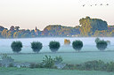 BUITEN BEELD Foto: 300547