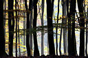 BUITEN BEELD Foto: 300554
