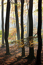 BUITEN BEELD Foto: 300557