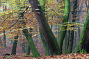 BUITEN BEELD Foto: 300566