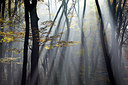 BUITEN BEELD Foto: 300567