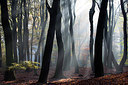 BUITEN BEELD Foto: 300570