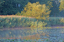 BUITEN BEELD Foto: 300626