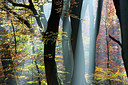 BUITEN BEELD Foto: 300631