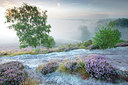 BUITEN BEELD Foto: 300635