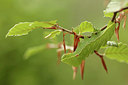 BUITEN BEELD Foto: 300658