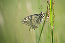 BUITEN BEELD Foto: 300738