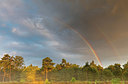 BUITEN BEELD Foto: 300768