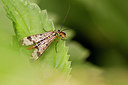 BUITEN BEELD Foto: 300787