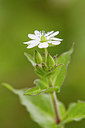 BUITEN BEELD Foto: 300800