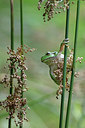 BUITEN BEELD Foto: 300841