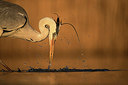 BUITEN BEELD Foto: 300860