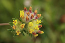 BUITEN BEELD Foto: 300896