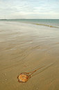 BUITEN BEELD Foto: 300900