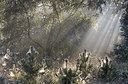 BUITEN BEELD Foto: 300910