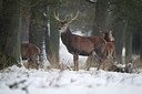 BUITEN BEELD Foto: 300914