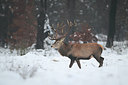 BUITEN BEELD Foto: 300916