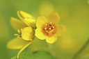 BUITEN BEELD Foto: 300927