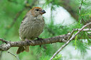 BUITEN BEELD Foto: 300953