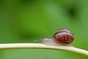 BUITEN BEELD Foto: 300983