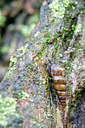 BUITEN BEELD Foto: 300992