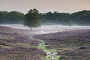 BUITEN BEELD Foto: 301037