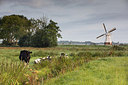 BUITEN BEELD Foto: 301050