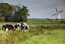 BUITEN BEELD Foto: 301051