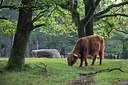 BUITEN BEELD Foto: 301059