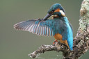 BUITEN BEELD Foto: 301082