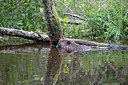 BUITEN BEELD Foto: 301127