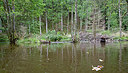 BUITEN BEELD Foto: 301135