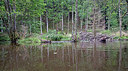 BUITEN BEELD Foto: 301136
